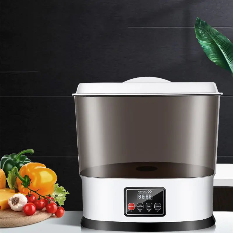 Intelligent Household Vegetable and Fruit Purifier